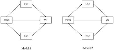 Vulnerable Narcissism in Social Networking Sites: The Role of Upward and Downward Social Comparisons